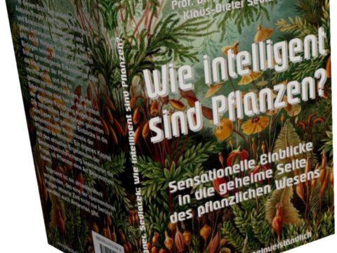 Wie intelligent sind Pflanzen?