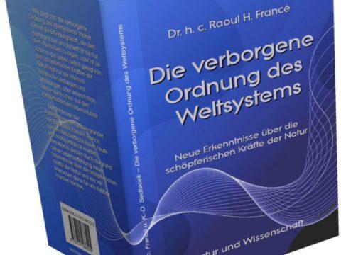 Die verborgene Ordnung des Weltsystems