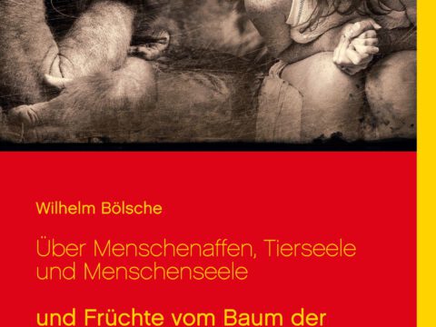 Über Menschenaffen, Tierseele und Menschenseele