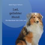 Lad, geliebter Hund